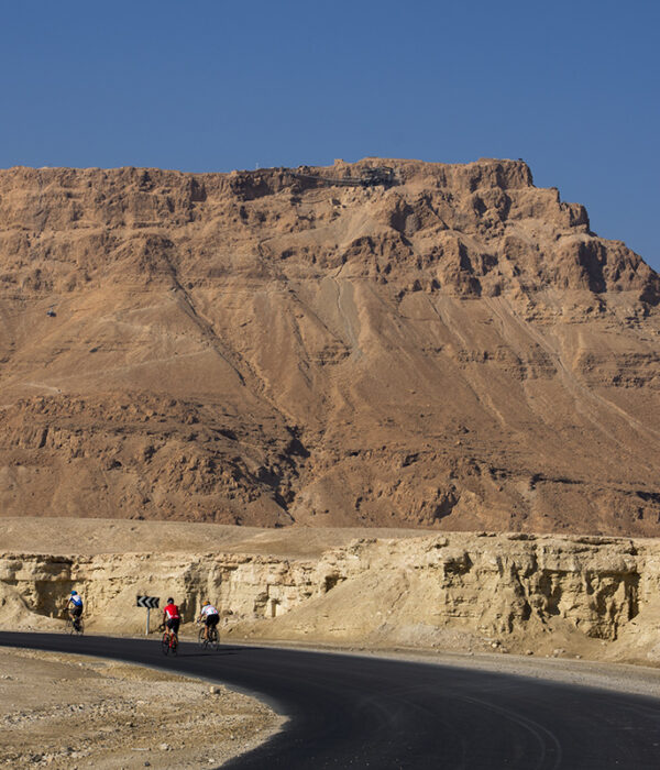 Three cyclists ride a curving desert road below the sheer brown cliffs of Masada under a clear blue sky.