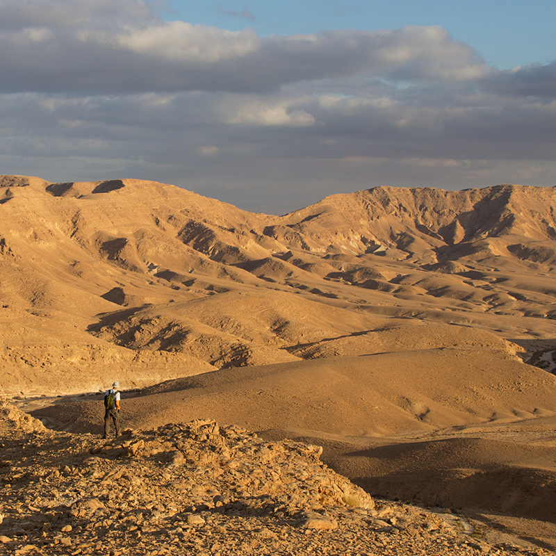 Negev Desert tour: a hiker above the golden desert hills A hiker with a backpack stands on a rocky ridge looking over golden desert hills in late afternoon light, in the Negev Desert.