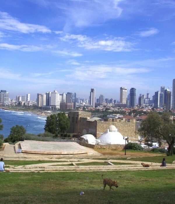 Tel Aviv's high-rise skyline and Mediterranean beach seen from a grassy hilltop park in Old Jaffa, with a stone amphitheatre, white domes and a dog on the lawn.
