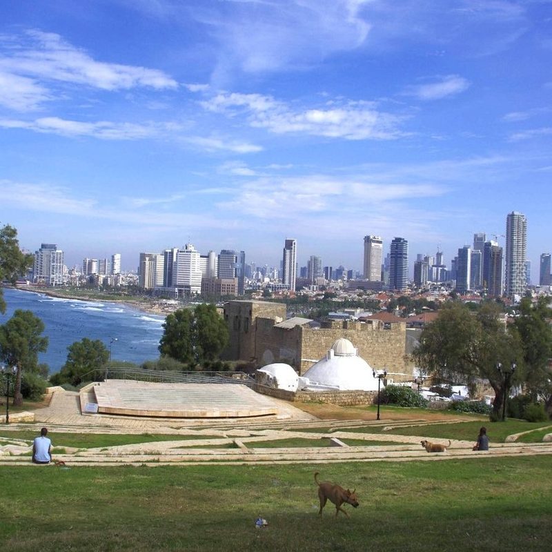 Tel Aviv tour: the skyline and beaches seen from Old Jaffa Tel Aviv's high-rise skyline and Mediterranean beach seen from a grassy hilltop park in Old Jaffa, with a stone amphitheatre, white domes and a dog on the lawn.